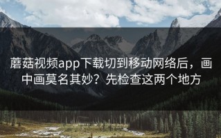 蘑菇视频app下载切到移动网络后，画中画莫名其妙？先检查这两个地方