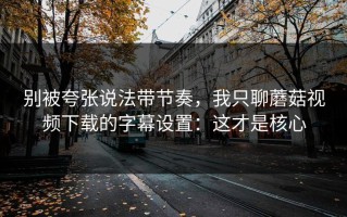 别被夸张说法带节奏，我只聊蘑菇视频下载的字幕设置：这才是核心