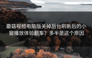 蘑菇视频电脑版关掉后台刷新后的小窗播放体验翻车？多半是这个原因