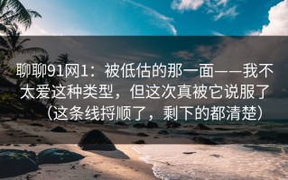 聊聊91网1：被低估的那一面——我不太爱这种类型，但这次真被它说服了（这条线捋顺了，剩下的都清楚）