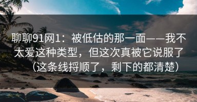 聊聊91网1：被低估的那一面——我不太爱这种类型，但这次真被它说服了（这条线捋顺了，剩下的都清楚）