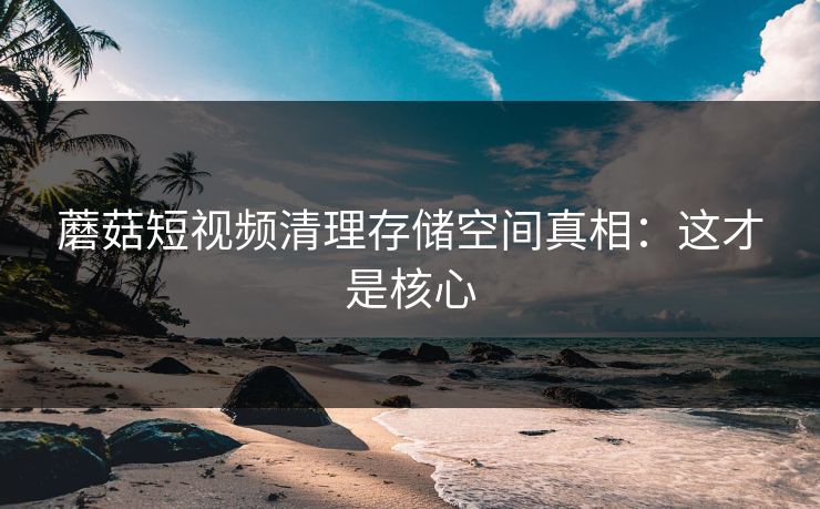 蘑菇短视频清理存储空间真相：这才是核心-第1张图片-蘑菇视频官网 - 高清短视频免费观看下载
