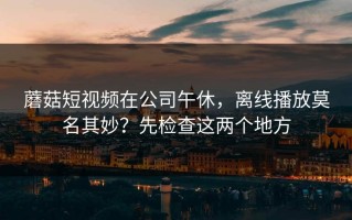 蘑菇短视频在公司午休，离线播放莫名其妙？先检查这两个地方