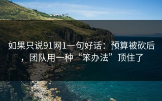 如果只说91网1一句好话：预算被砍后，团队用一种“笨办法”顶住了