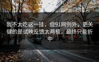 我不太吃这一挂，但91网例外，更关键的是试映反馈太两极，最终只能折中