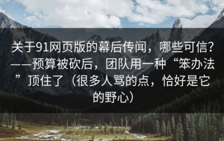 关于91网页版的幕后传闻，哪些可信？——预算被砍后，团队用一种“笨办法”顶住了（很多人骂的点，恰好是它的野心）