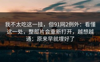 我不太吃这一挂，但91网2例外：看懂这一处，整部片会重新打开，越想越通：原来早就埋好了