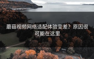 蘑菇视频网络适配体验变差？原因很可能在这里