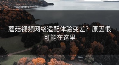蘑菇视频网络适配体验变差？原因很可能在这里