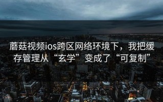 蘑菇视频ios跨区网络环境下，我把缓存管理从“玄学”变成了“可复制”