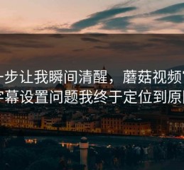 这一步让我瞬间清醒，蘑菇视频官网的字幕设置问题我终于定位到原因了