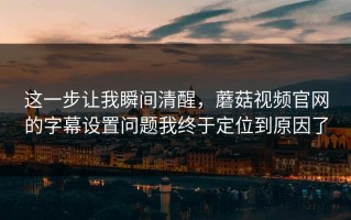 这一步让我瞬间清醒，蘑菇视频官网的字幕设置问题我终于定位到原因了
