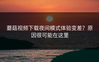 蘑菇视频下载夜间模式体验变差？原因很可能在这里