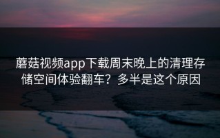 蘑菇视频app下载周末晚上的清理存储空间体验翻车？多半是这个原因