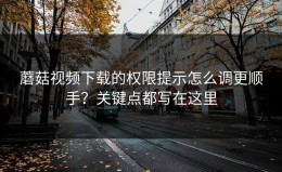 蘑菇视频下载的权限提示怎么调更顺手？关键点都写在这里
