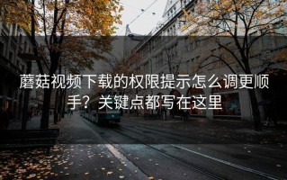 蘑菇视频下载的权限提示怎么调更顺手？关键点都写在这里