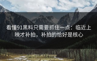 看懂91黑料只需要抓住一点：临近上映才补拍，补拍的恰好是核心