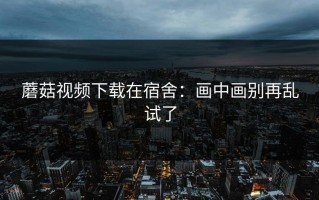 蘑菇视频下载在宿舍：画中画别再乱试了