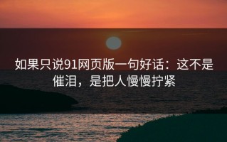 如果只说91网页版一句好话：这不是催泪，是把人慢慢拧紧