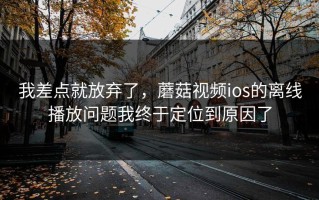 我差点就放弃了，蘑菇视频ios的离线播放问题我终于定位到原因了