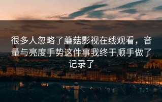 很多人忽略了蘑菇影视在线观看，音量与亮度手势这件事我终于顺手做了记录了