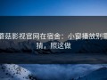 蘑菇影视官网在宿舍：小窗播放别靠猜，照这做
