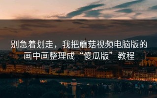 别急着划走，我把蘑菇视频电脑版的画中画整理成“傻瓜版”教程