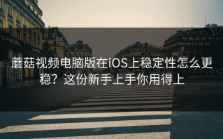 蘑菇视频电脑版在iOS上稳定性怎么更稳？这份新手上手你用得上