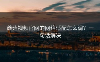 蘑菇视频官网的网络适配怎么调？一句话解决