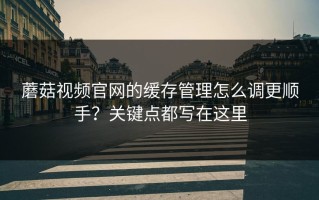 蘑菇视频官网的缓存管理怎么调更顺手？关键点都写在这里