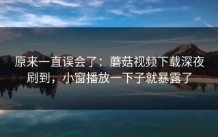 原来一直误会了：蘑菇视频下载深夜刷到，小窗播放一下子就暴露了