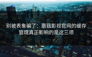 别被表象骗了：蘑菇影视官网的缓存管理真正影响的是这三项