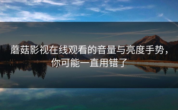 蘑菇影视在线观看的音量与亮度手势，你可能一直用错了