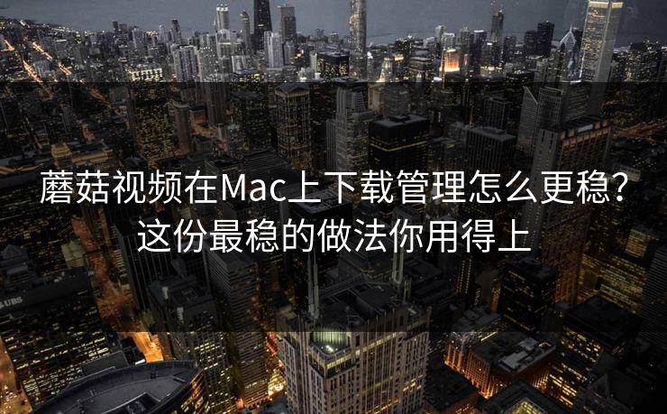 蘑菇视频在Mac上下载管理怎么更稳？这份最稳的做法你用得上