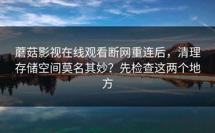 蘑菇影视在线观看断网重连后，清理存储空间莫名其妙？先检查这两个地方