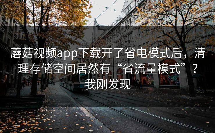 蘑菇视频app下载开了省电模式后,清理存储空间居然有“省流量模式”?我刚发现 蘑菇视频app下载开了省电模式后,清理存储空间居然有“省流量模式”?我刚发现