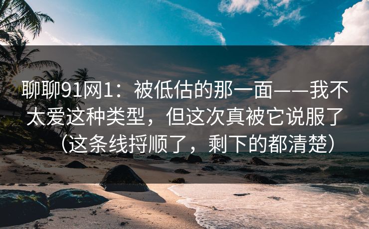 聊聊91网1：被低估的那一面——我不太爱这种类型，但这次真被它说服了（这条线捋顺了，剩下的都清楚）