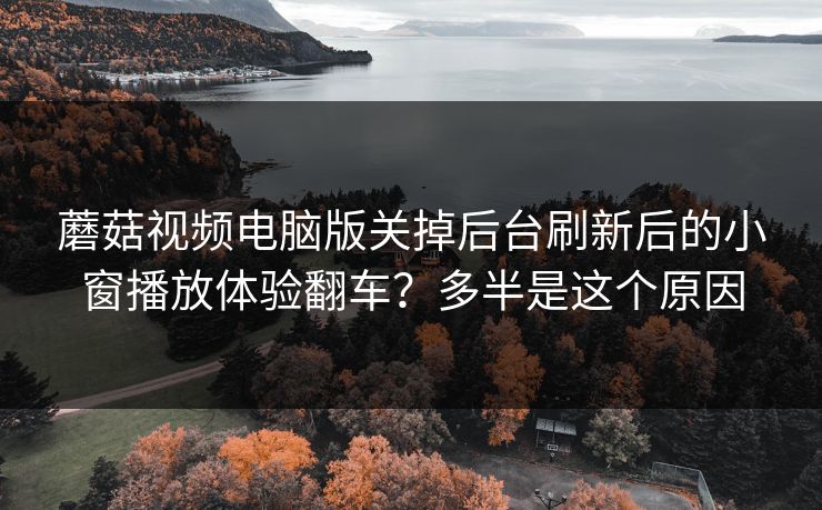 蘑菇视频电脑版关掉后台刷新后的小窗播放体验翻车？多半是这个原因